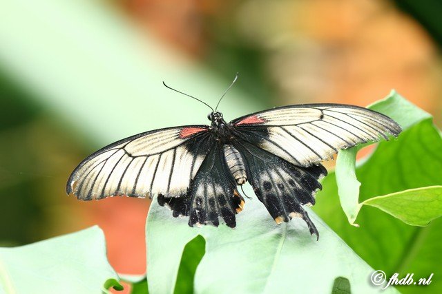 DG8A0446.jpg