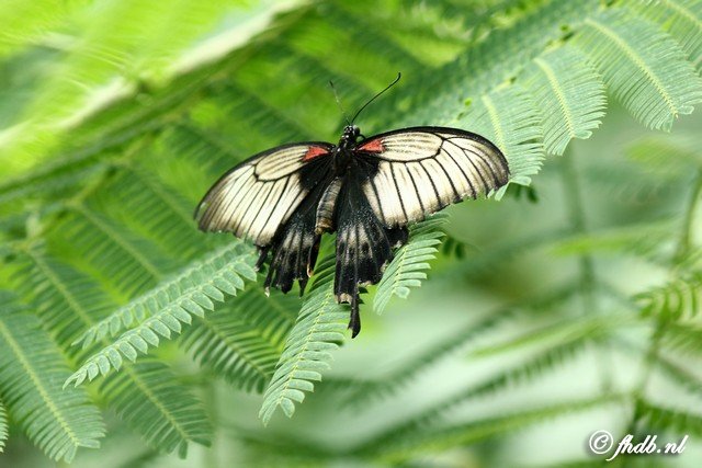 DG8A0669.jpg