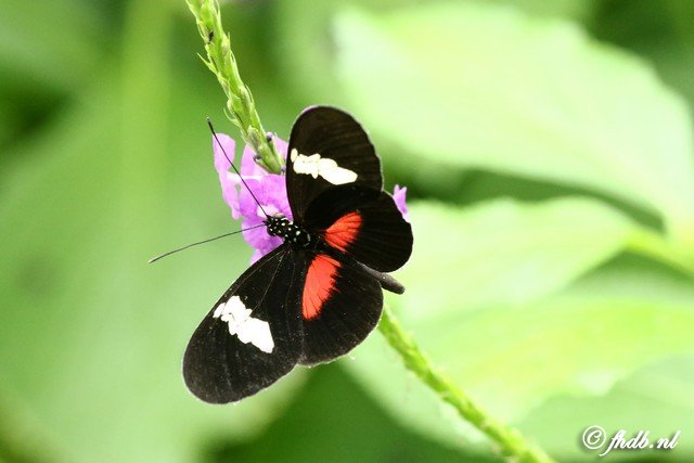 DG8A0754.jpg
