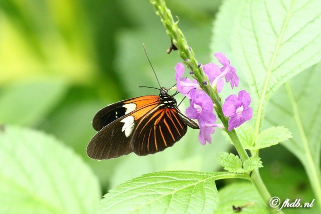 DG8A0820.jpg