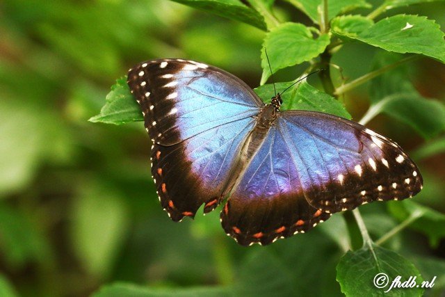 DG8A0989.jpg