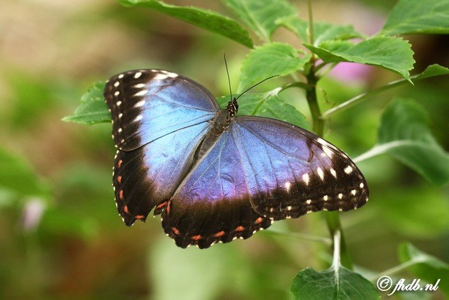 DG8A1036.jpg