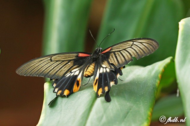 DG8A4397.jpg