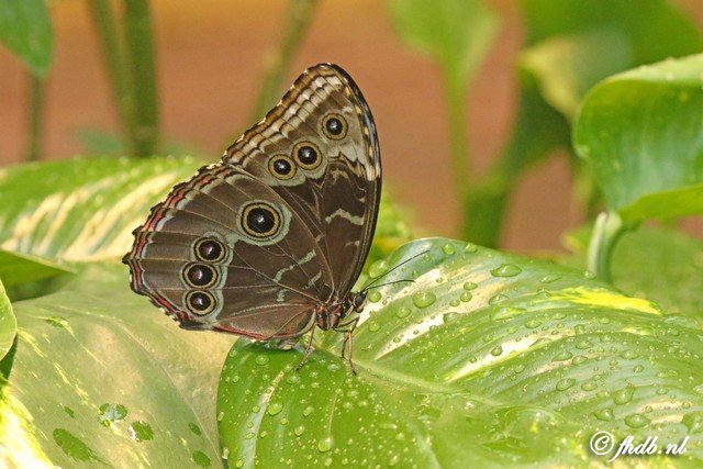 DG8A5786.jpg