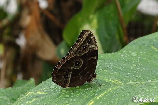DG8A5806.jpg