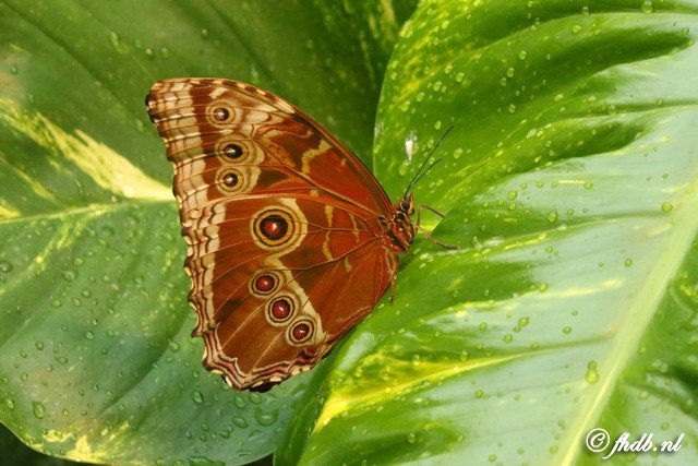 DG8A5819.jpg