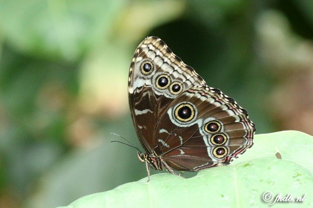 DG8A5950.jpg