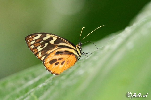 FHDB3164.jpg