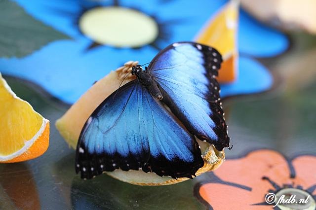 IMG_1714.jpg