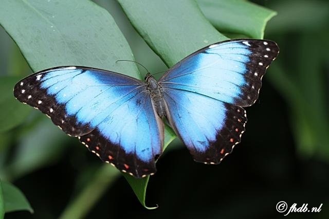 IMG_9695.jpg