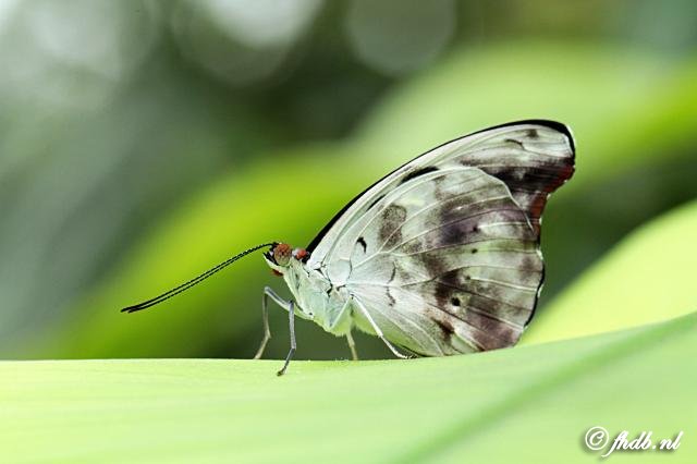 IMG_9802.jpg