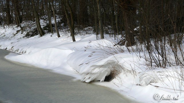P1080156b.jpg