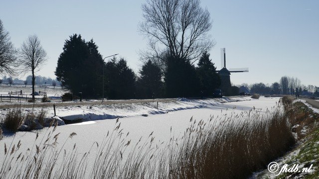 P1080390.jpg