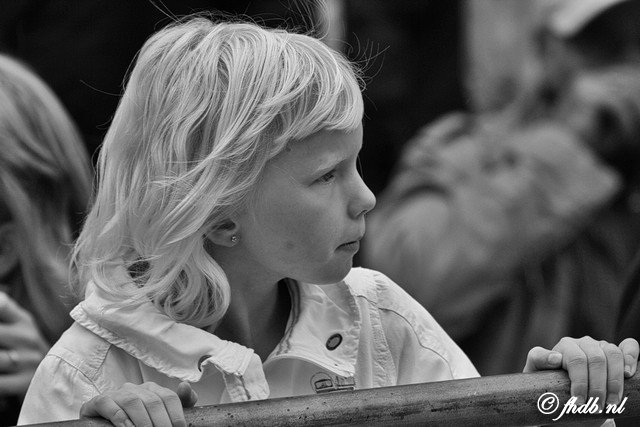 IMG_1302b.jpg