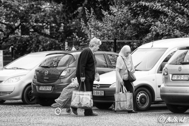 IMG_3442b.jpg